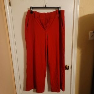 Trouser Pant
